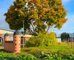 Ett hästhoppningshinder i form av Uppsala slott och ett stort träd i höstfärger.
