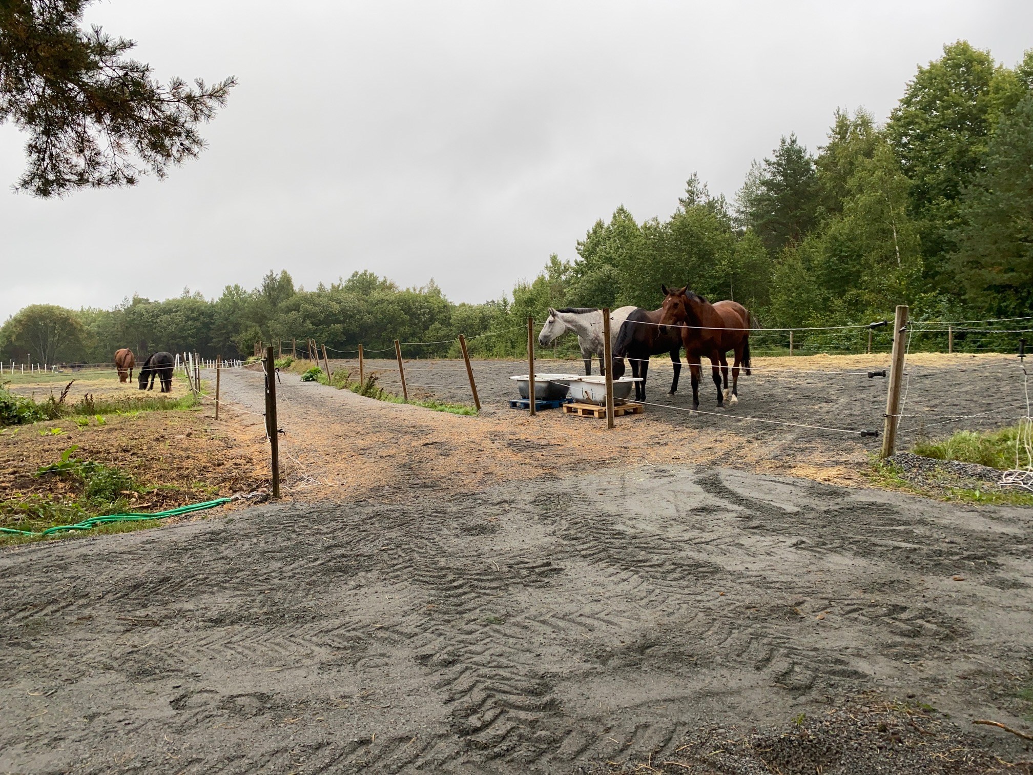 En renoverad grusstig mellan två hästhagar. Traktorspår på marken.